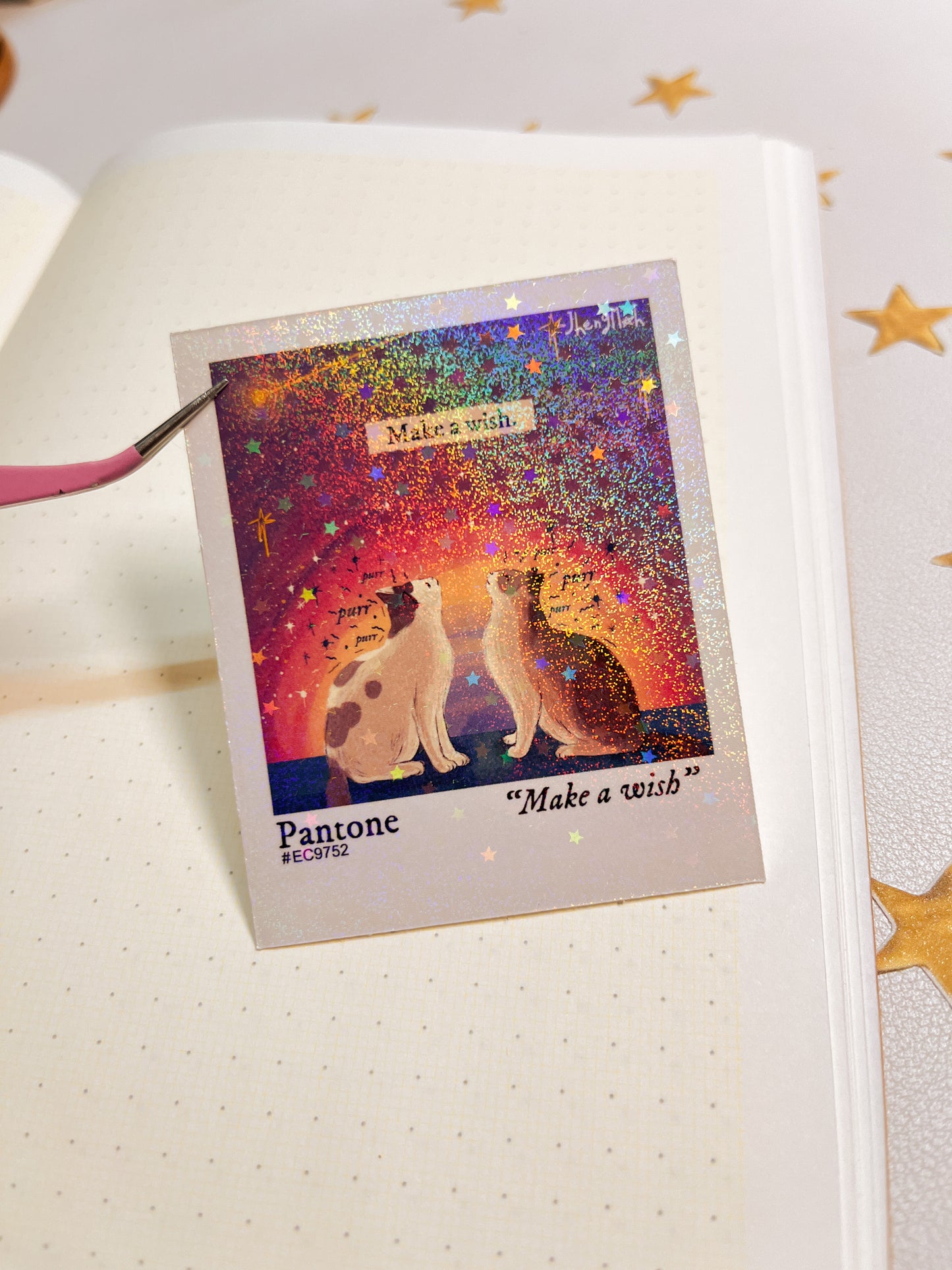 Make a wish Polaroid | Sticker Waterproof Vinyl Sticker