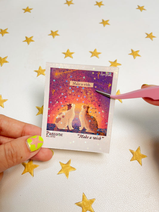 Make a wish Polaroid | Sticker Waterproof Vinyl Sticker